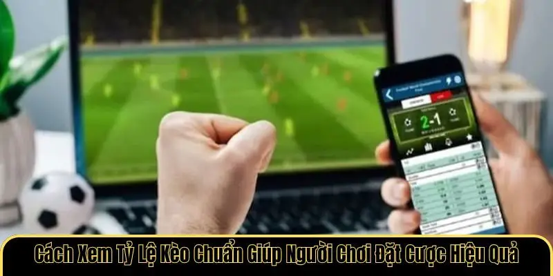 Cách xem tỷ lệ kèo
