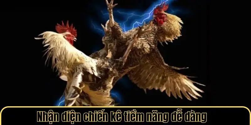 Nhận diện chiến kê tiềm năng dễ dàng