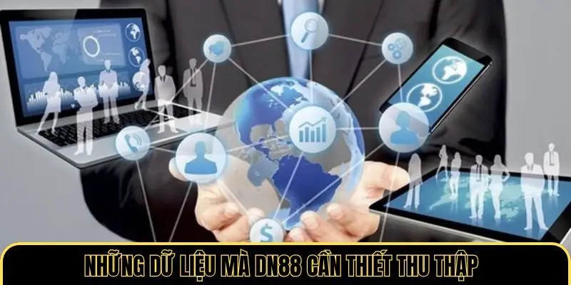 Những dữ liệu mà DN88 cần thiết thu thập